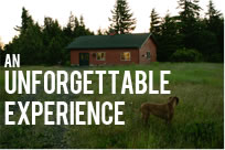 experience